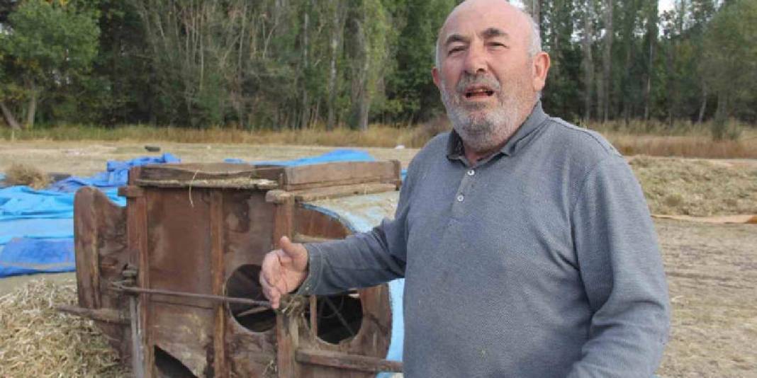 Modern yöntemler kabul edilmiyor, geleneksel hasat ediliyor! Ata tohumun ürünü: 10 yıldır bu usul kullanılıyor 4